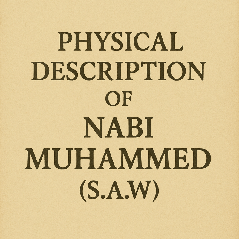 Physical Description of Nabi Muhammed&nbsp;ﷺ